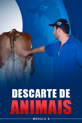 Módulo 6