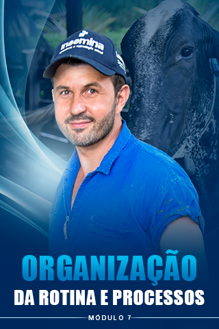 Módulo 7